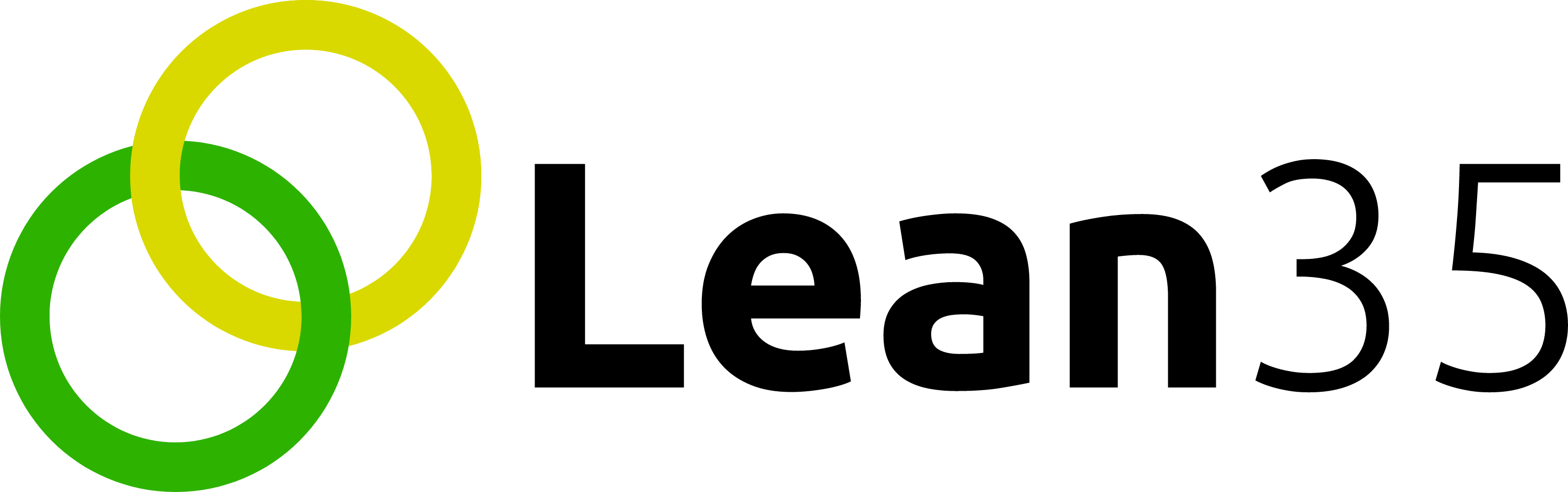 Lean35 Inc | IT consulting company